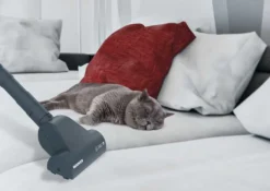 Hoover TeliosPlus TE70 TE75 Bodenstaubsauger Mit Gummierten Laufrädern -Staubsauger Förderung d436987de305461aeb6720ffc316c4d4